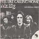 Mr Big - Feel Like Calling Home